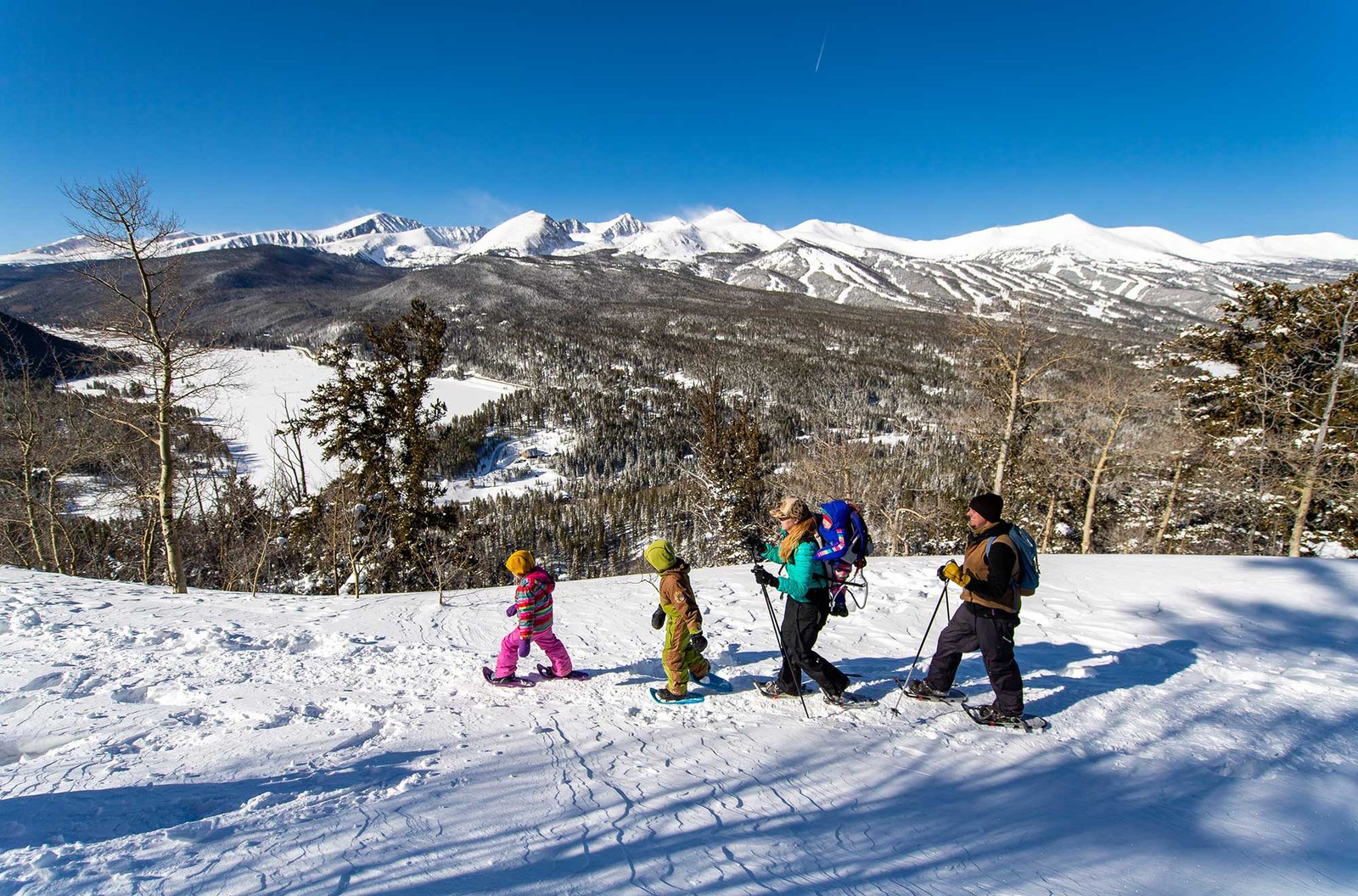 Go Snowshoeing